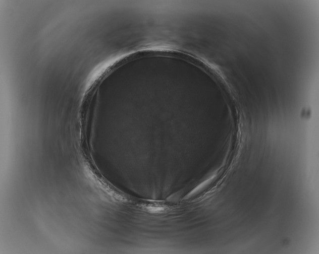 X0000115301319200911161648