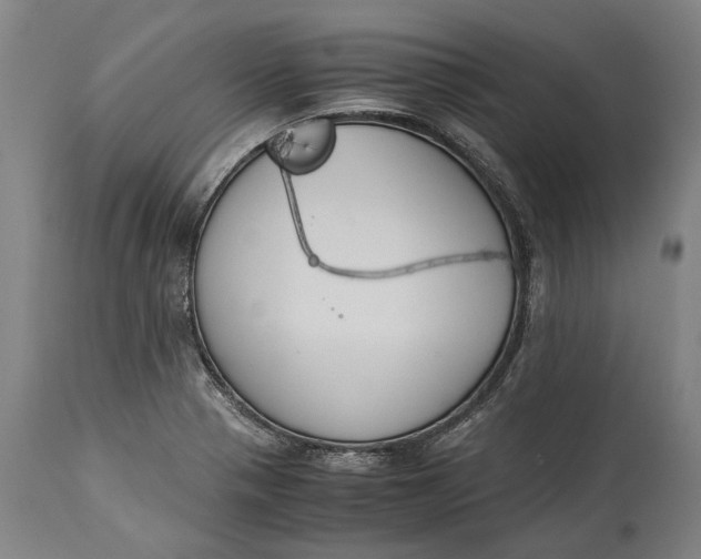 X0000115301321200911161648