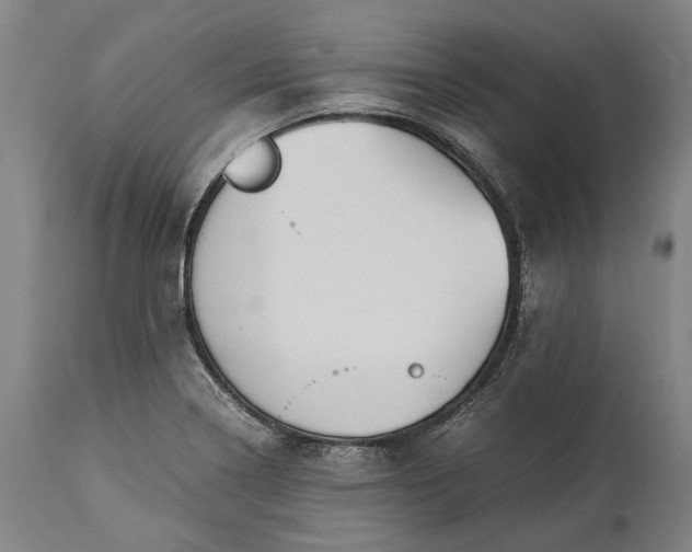 X0000115301322200911161648