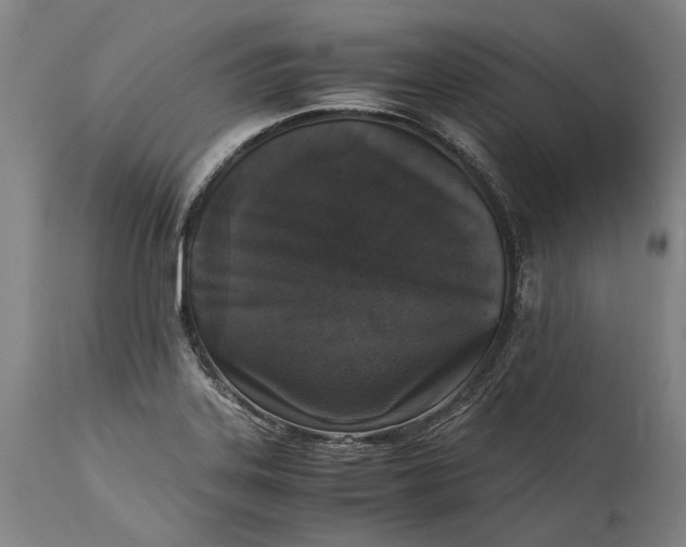 X0000115301323200911161648