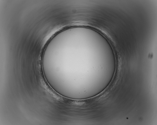 X0000115301325200911161648