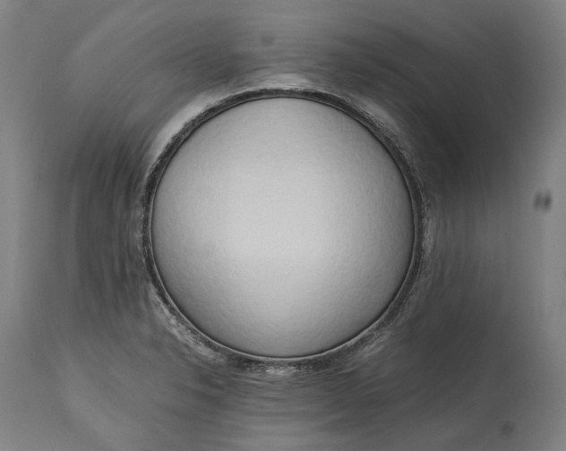 X0000115301326200911161648