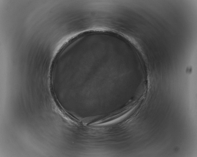 X0000115301327200911161648