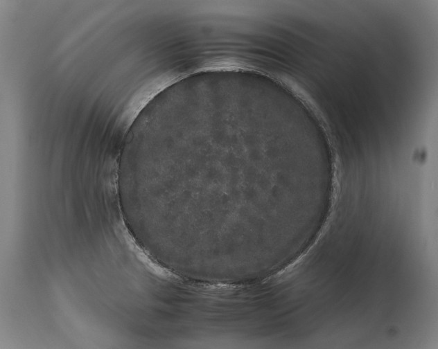 X0000115301329200911161648