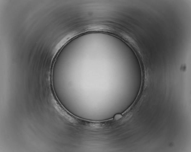 X0000115301330200911161648