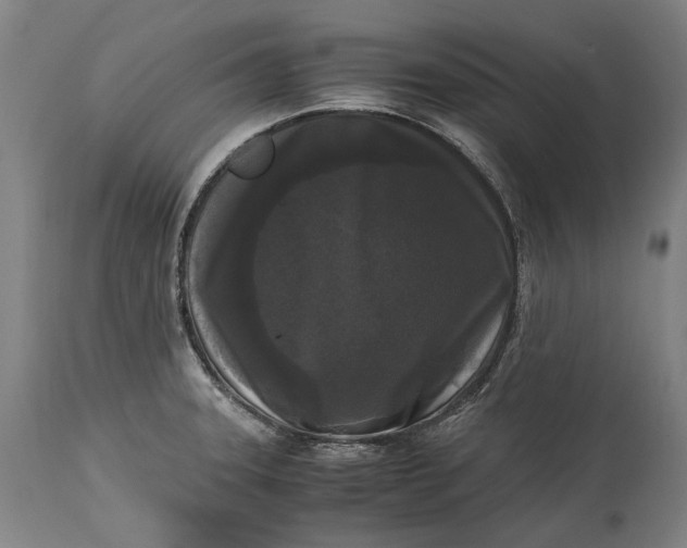 X0000115301331200911161648