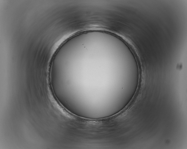 X0000115301333200911161648