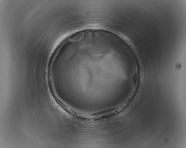 X0000115301334200911161648