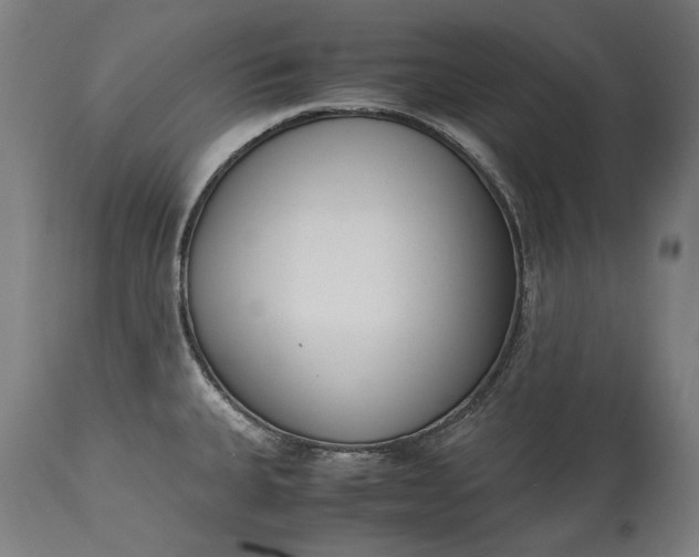 X0000115301335200911161648