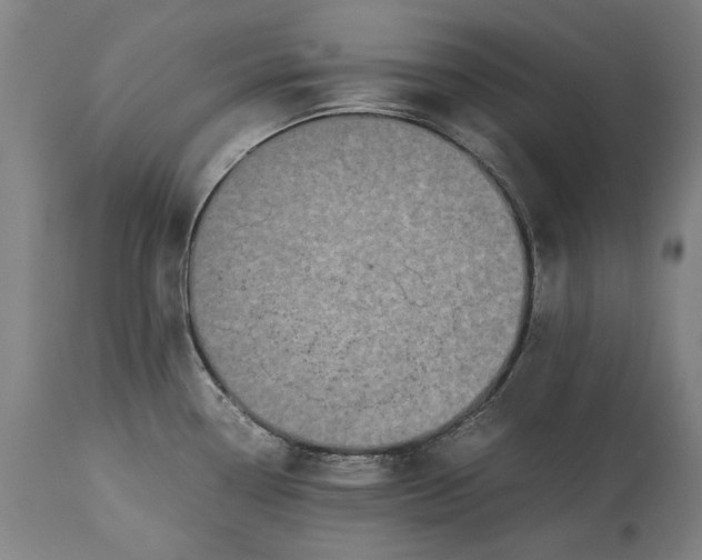 X0000115301338200911161648