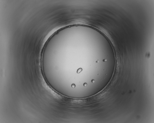 X0000115301339200911161648