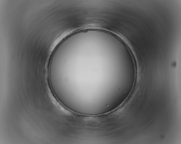 X0000115301341200911161648