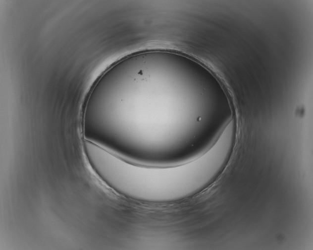 X0000115301342200911161648