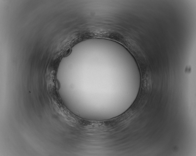 X0000115301346200911161648