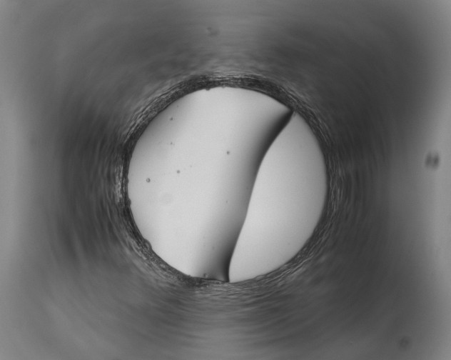 X0000115301348200911161648