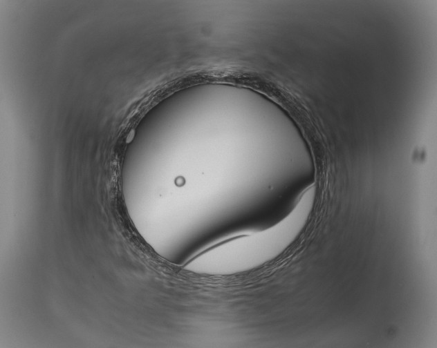 X0000115301349200911161648