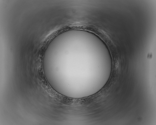 X0000115301350200911161648