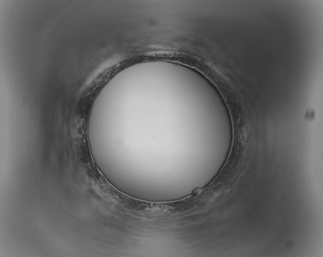 X0000115301351200911161648