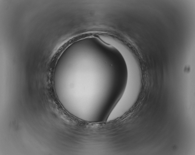 X0000115301352200911161648