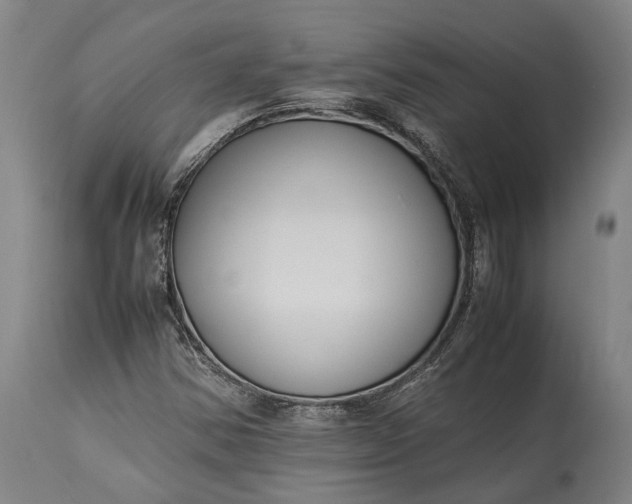 X0000115301354200911161648