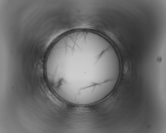 X0000115301356200911161648