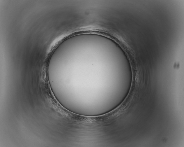 X0000115301358200911161648