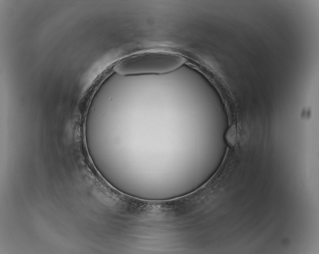 X0000115301360200911161647