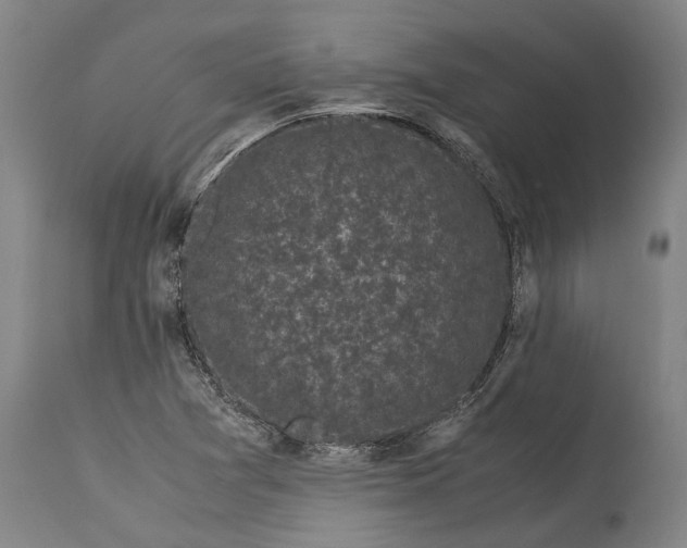 X0000115301361200911161647