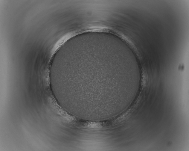 X0000115301362200911161647