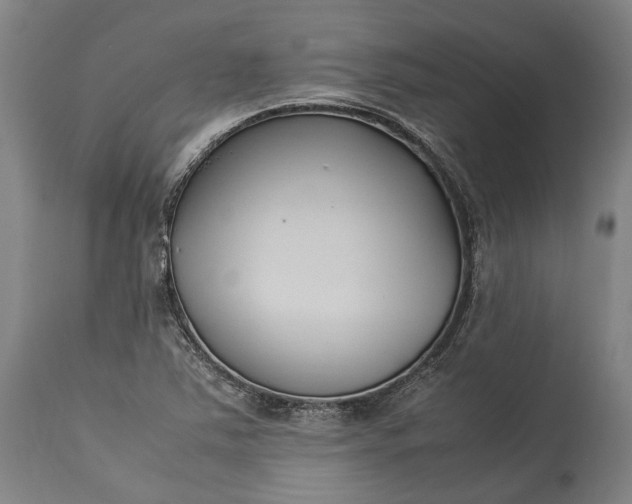 X0000115301363200911161647