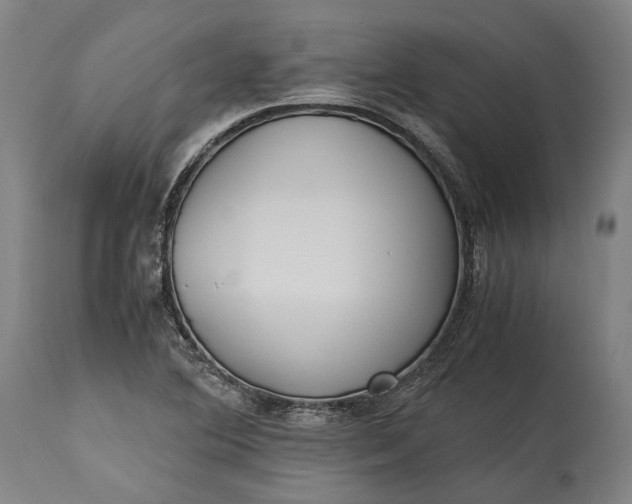 X0000115301364200911161647