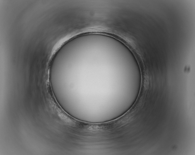 X0000115301366200911161647