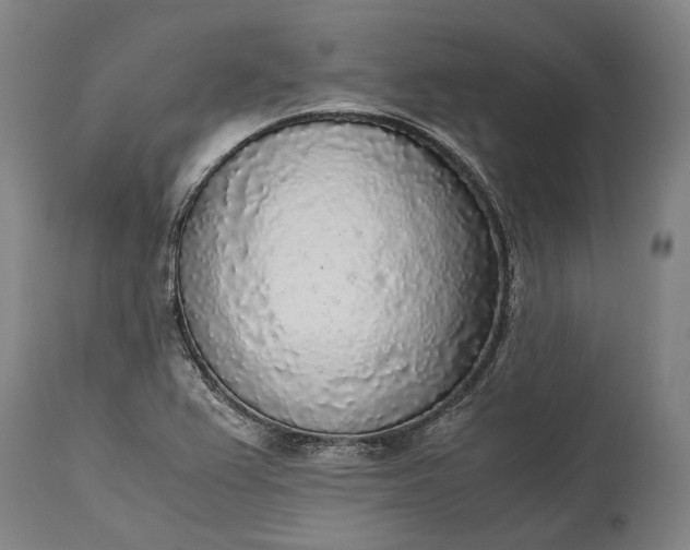 X0000115301367200911161647