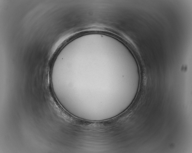 X0000115301368200911161647