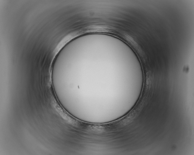 X0000115301370200911161647