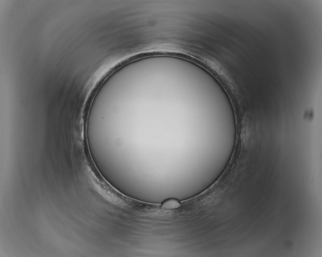 X0000115301372200911161647