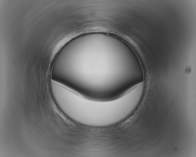 X0000115301373200911161647