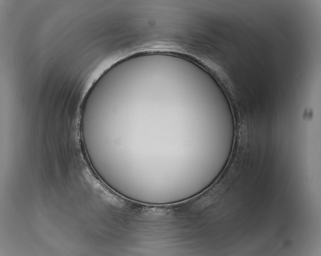 X0000115301374200911161647