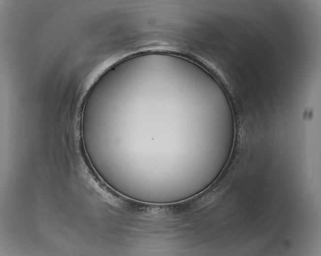 X0000115301375200911161647