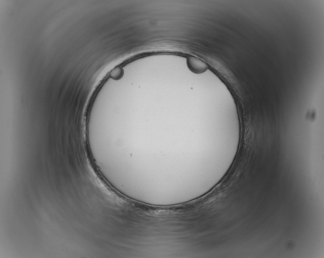 X0000115301380200911161647