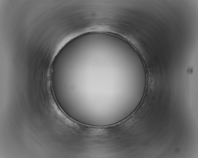 X0000115301382200911161647