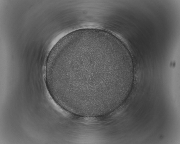 X0000115301383200911161647