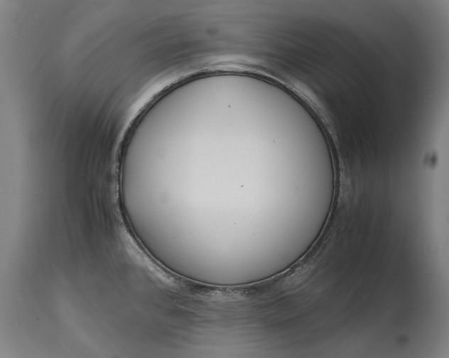 X0000115301384200911161647