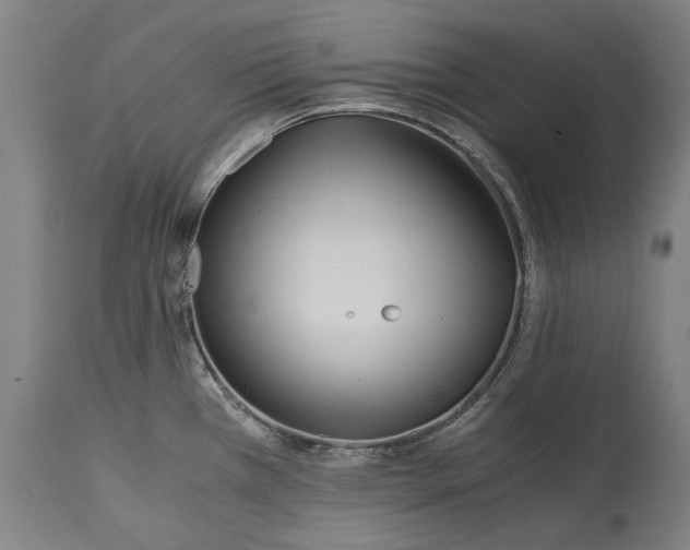 X0000115301385200911161647