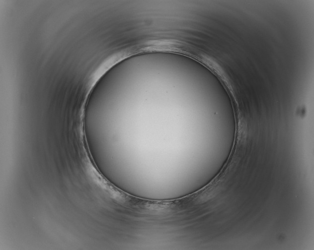 X0000115301386200911161647