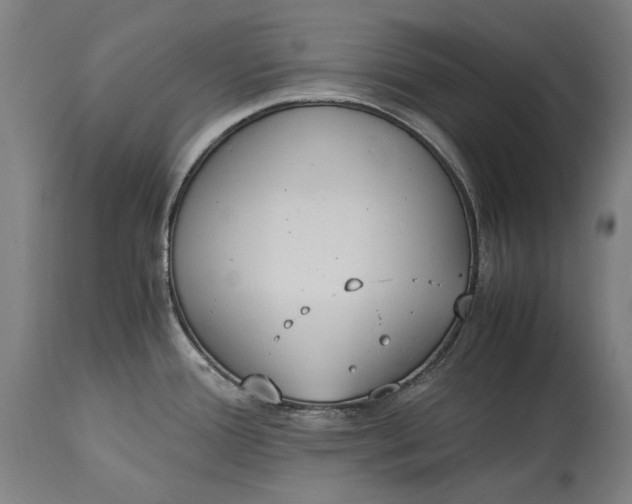 X0000115301388200911161647