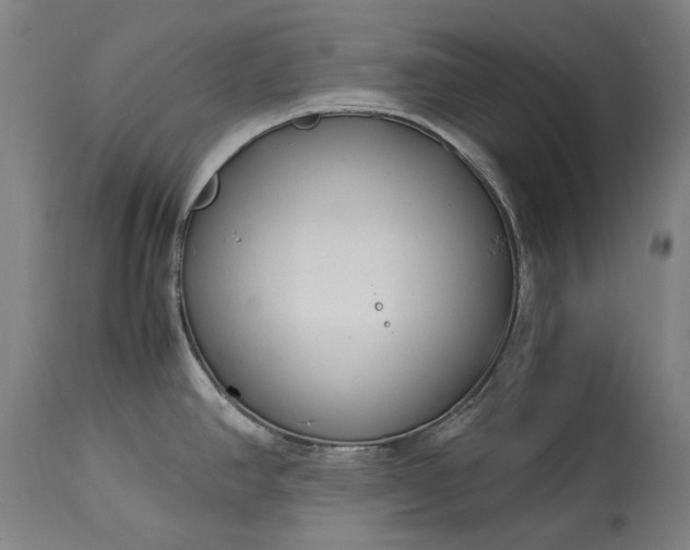 X0000115301390200911161647