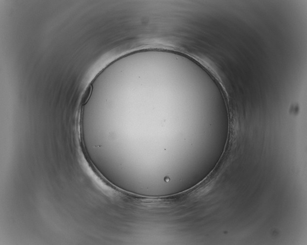 X0000115301391200911161647