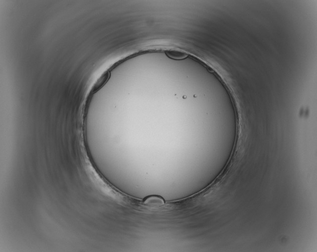 X0000115301392200911161647