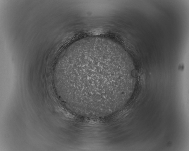 X0000115301393200911161646